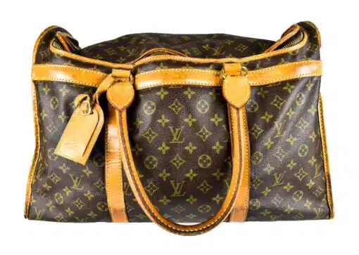 Louis Vuitton Sac Chien vor der Reinigung – Vorderansicht